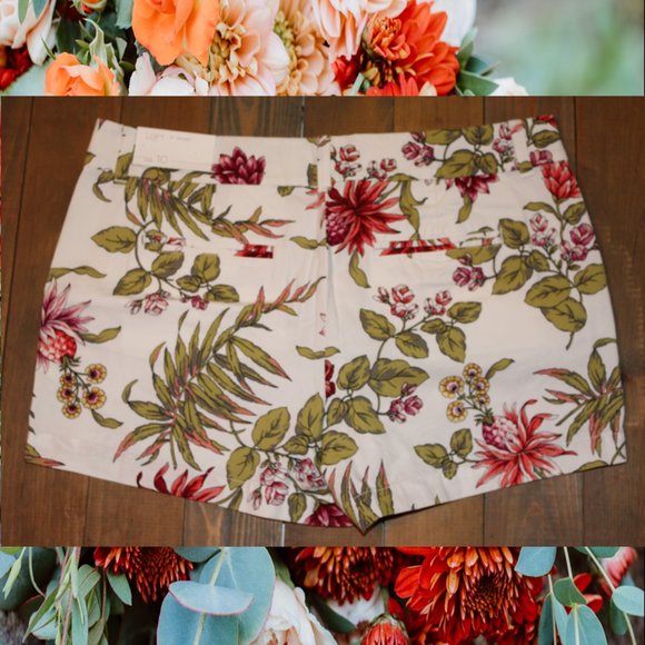 NWT LOFT Tropical Print Shorts – Size 10 - Picture 5 of 5